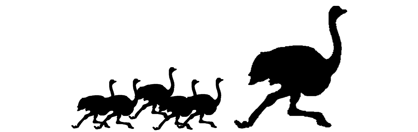CPOF