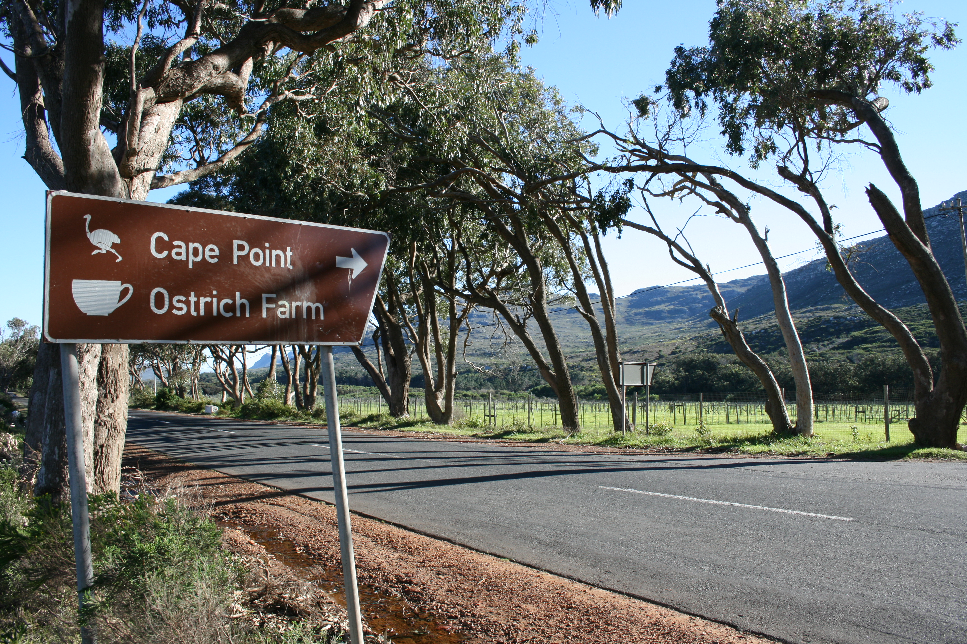 Sign